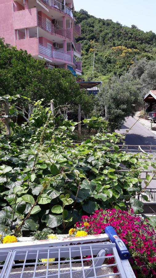 Apartament Olivera *